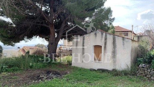 Ομηρούπολη, Χίος (Ν. Χίου)