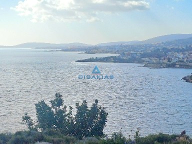 Ομηρούπολη, Χίος (Ν. Χίου)