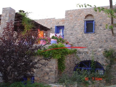 Χίος (Ν. Χίου)