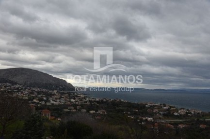 Μονοκατοικία, 503τ. μ.