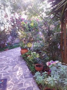 Μαστιχοχώρια, Χίος (Ν. Χίου)