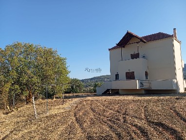 Χίος (Ν. Χίου)