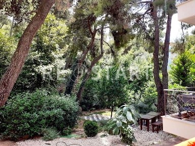 Μεζονέτα, 203τ. μ.