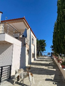 Νέα Τραπεζούντα, Κορινός (Ν. Πιερίας)