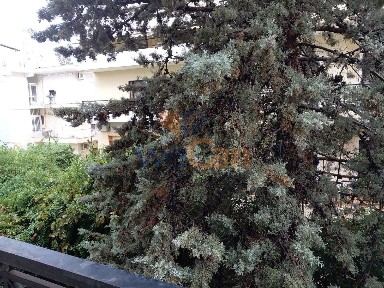 Κοκκινιά, Μαρούσι (Αθήνα - Βόρεια Προάστια)