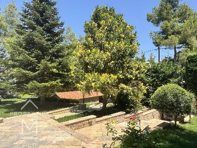 Μονοκατοικία, 415τ. μ.