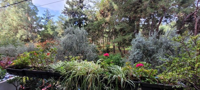 Διαμέρισμα, 75τ. μ.