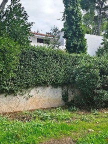 Μεζονέτα, 280τ. μ.